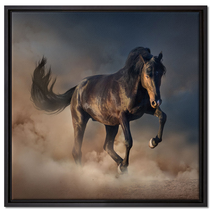 Schwarzes Pferd auf Leinwandbild Quadratisch gerahmt Größe 60x60