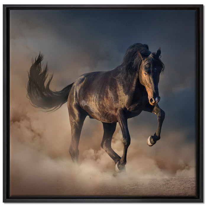 Schwarzes Pferd auf Leinwandbild Quadratisch gerahmt Größe 70x70