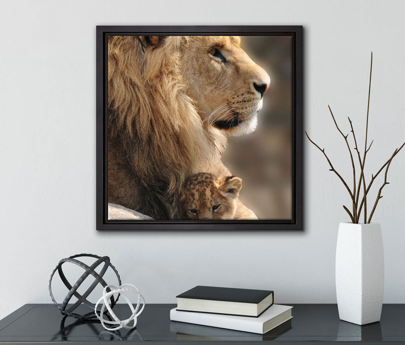 Löwe mit Löwenbaby  auf Leinwandbild Quadratisch gerahmt mit Kirschblüten