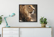 Löwe mit Löwenbaby auf Leinwandbild gerahmt Quadratisch verschiedene Größen im Wohnzimmer