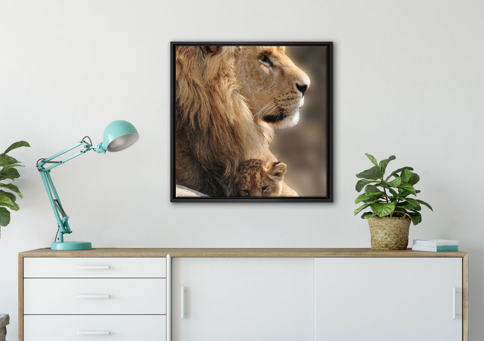 Löwe mit Löwenbaby auf Leinwandbild gerahmt Quadratisch verschiedene Größen im Wohnzimmer