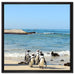 Pinguine am Strand auf Leinwandbild Quadratisch gerahmt Größe 60x60