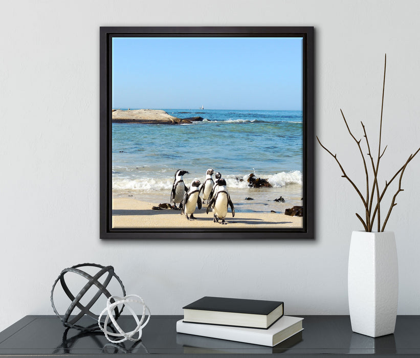 Pinguine am Strand  auf Leinwandbild Quadratisch gerahmt mit Kirschblüten