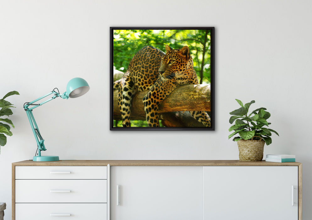 Leopard auf Ast auf Leinwandbild gerahmt Quadratisch verschiedene Größen im Wohnzimmer