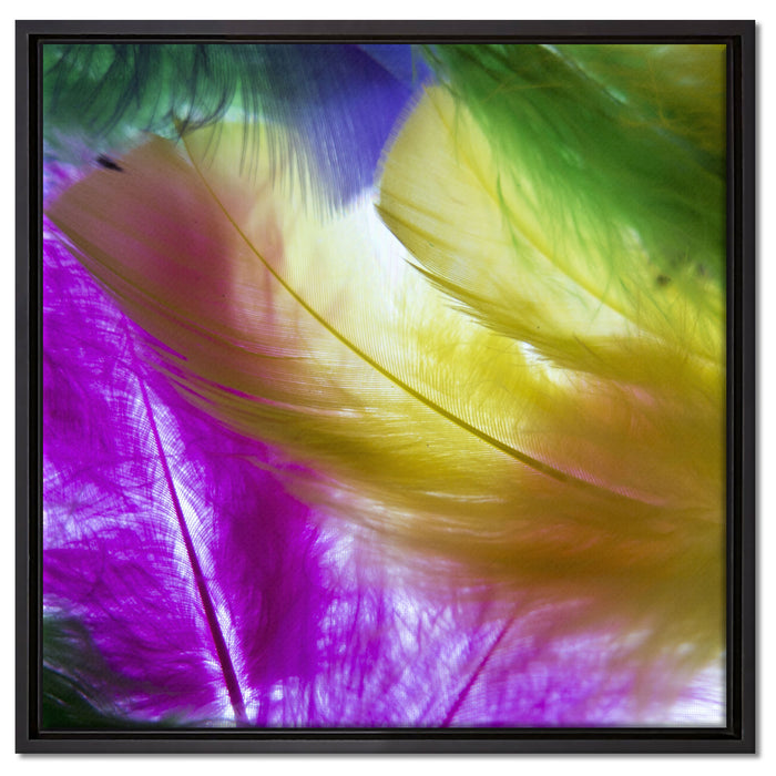 Bunte Federn auf Leinwandbild Quadratisch gerahmt Größe 60x60