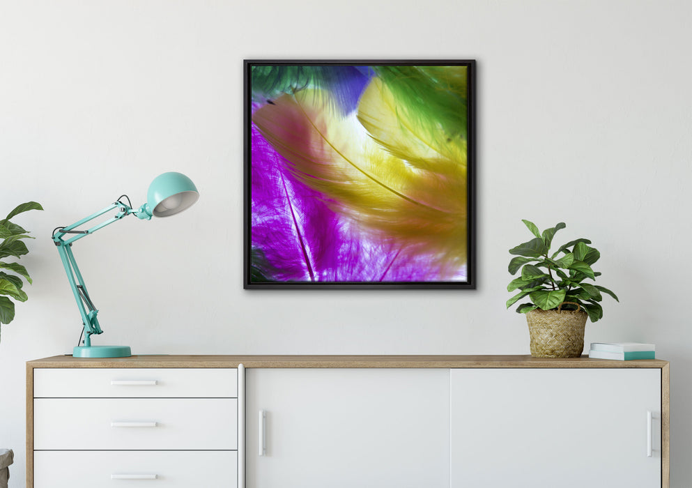 Bunte Federn auf Leinwandbild gerahmt Quadratisch verschiedene Größen im Wohnzimmer