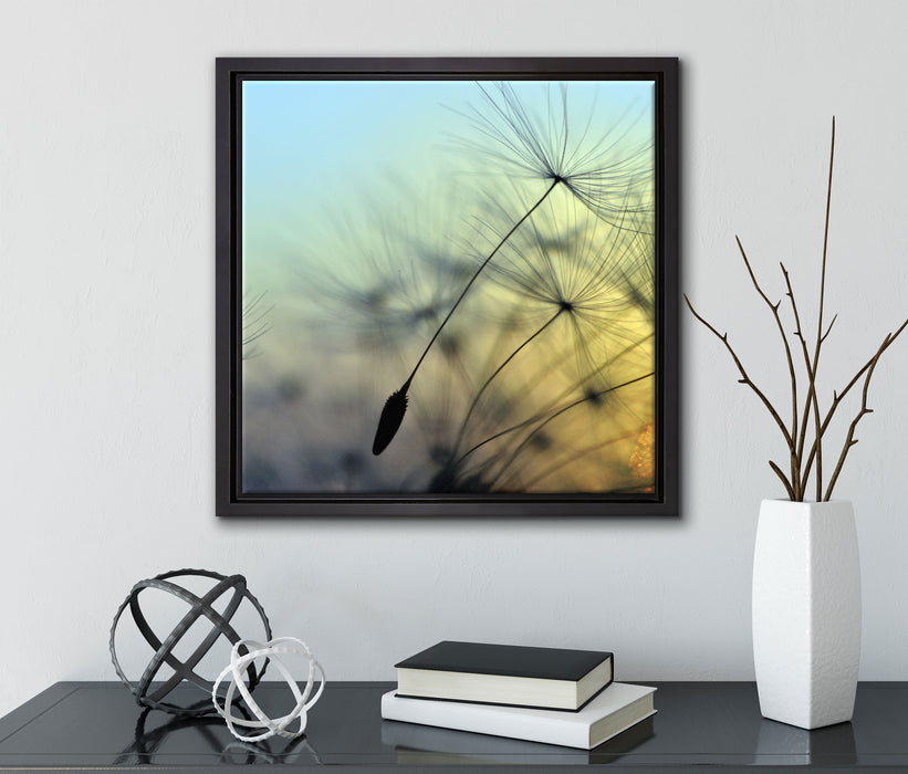 Pusteblumen mit Tautropfen  auf Leinwandbild Quadratisch gerahmt mit Kirschblüten