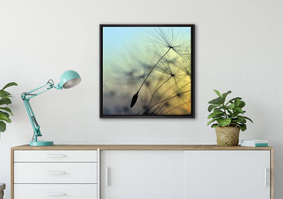 Pusteblumen mit Tautropfen auf Leinwandbild gerahmt Quadratisch verschiedene Größen im Wohnzimmer