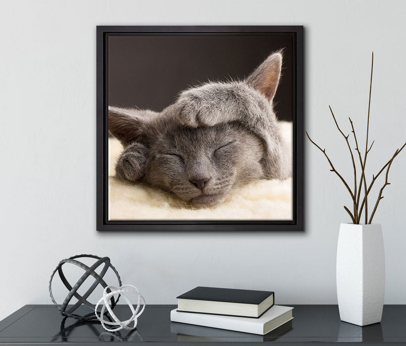 Süßes Kätzchen  auf Leinwandbild Quadratisch gerahmt mit Kirschblüten