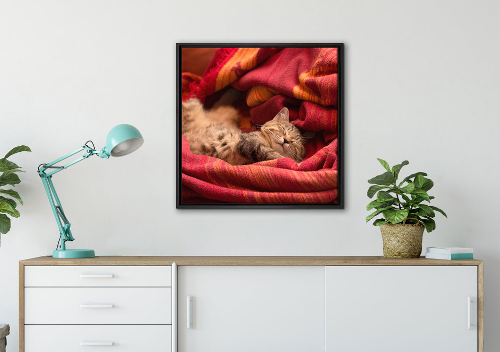 Babykatze auf Leinwandbild gerahmt Quadratisch verschiedene Größen im Wohnzimmer