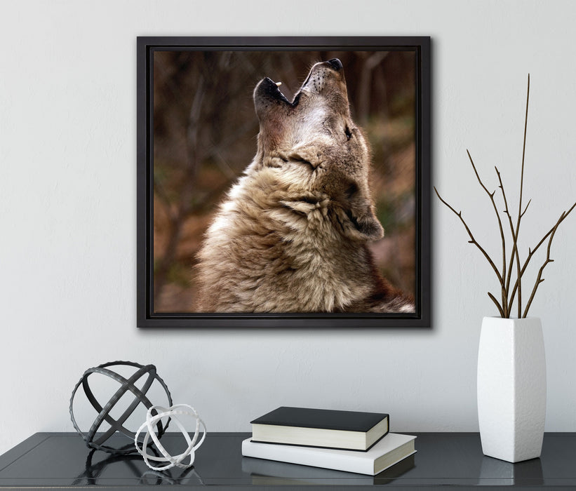 Heulende Wölfe  auf Leinwandbild Quadratisch gerahmt mit Kirschblüten