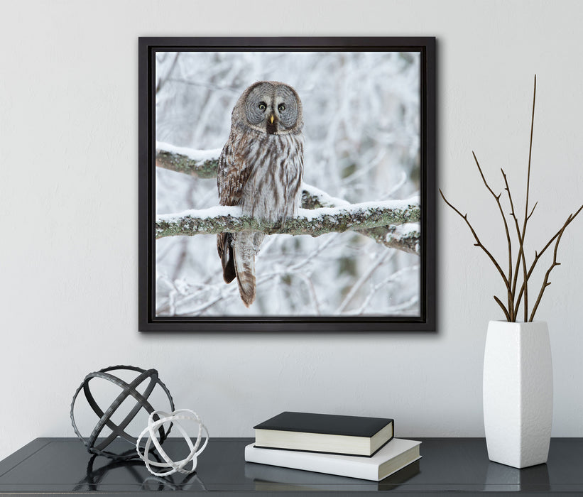Eule auf Ast  auf Leinwandbild Quadratisch gerahmt mit Kirschblüten