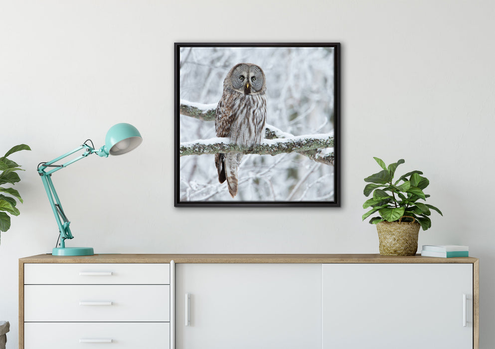Eule auf Ast auf Leinwandbild gerahmt Quadratisch verschiedene Größen im Wohnzimmer