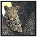 Leopardenbaby auf Leinwandbild Quadratisch gerahmt Größe 60x60