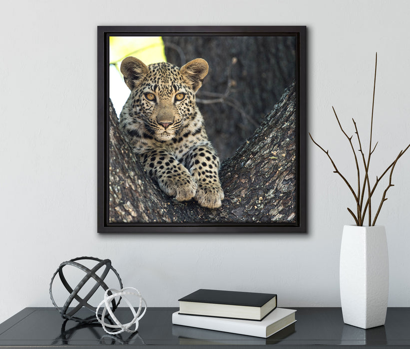 Leopardenbaby  auf Leinwandbild Quadratisch gerahmt mit Kirschblüten