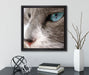 Katze mit blauen Augen  auf Leinwandbild Quadratisch gerahmt mit Kirschblüten