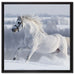 Weißes Pferd auf Schneewiese auf Leinwandbild Quadratisch gerahmt Größe 60x60