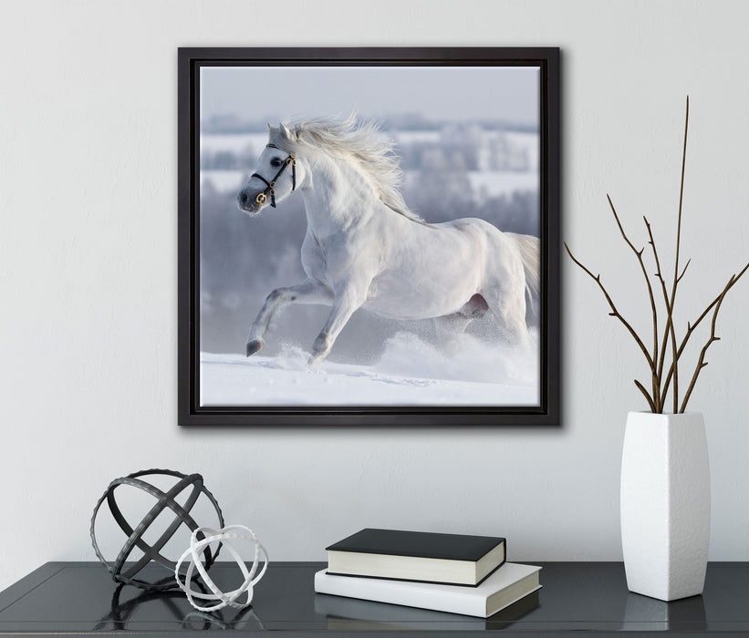 Weißes Pferd auf Schneewiese  auf Leinwandbild Quadratisch gerahmt mit Kirschblüten