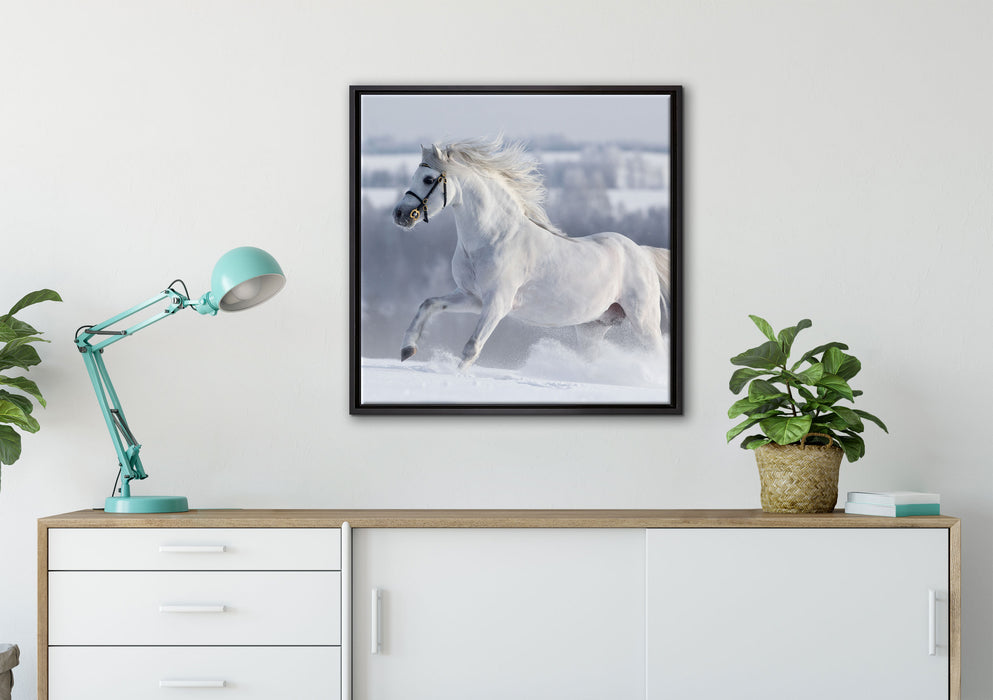 Weißes Pferd auf Schneewiese auf Leinwandbild gerahmt Quadratisch verschiedene Größen im Wohnzimmer