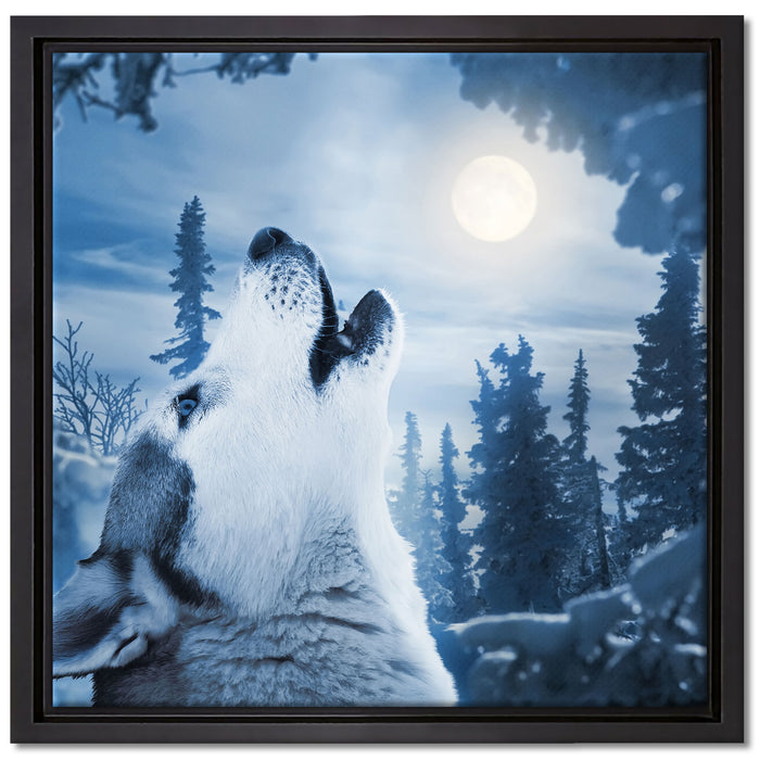 Wolf vor Mondlicht auf Leinwandbild Quadratisch gerahmt Größe 40x40