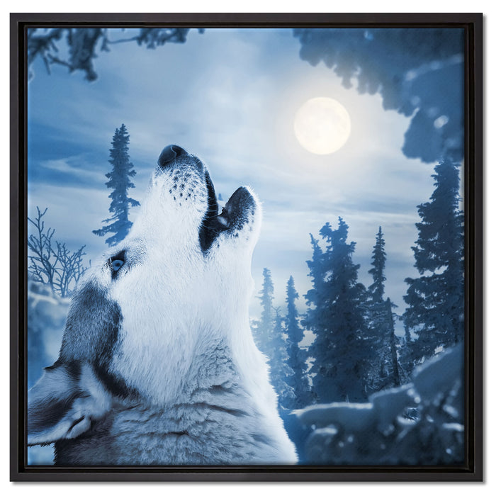 Wolf vor Mondlicht auf Leinwandbild Quadratisch gerahmt Größe 60x60