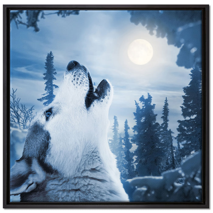Wolf vor Mondlicht auf Leinwandbild Quadratisch gerahmt Größe 70x70