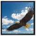 Adler fliegt über Berge auf Leinwandbild Quadratisch gerahmt Größe 60x60