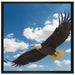 Adler fliegt über Berge auf Leinwandbild Quadratisch gerahmt Größe 70x70