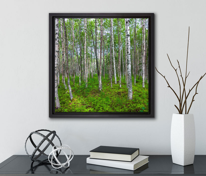 Birkenwald  auf Leinwandbild Quadratisch gerahmt mit Kirschblüten