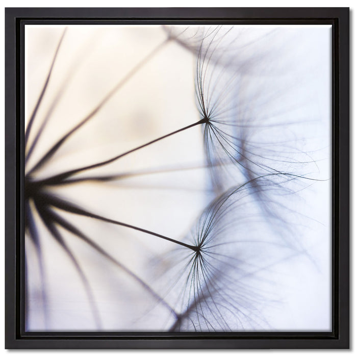 Weiße Pusteblumen auf Leinwandbild Quadratisch gerahmt Größe 40x40