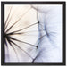 Weiße Pusteblumen auf Leinwandbild Quadratisch gerahmt Größe 40x40