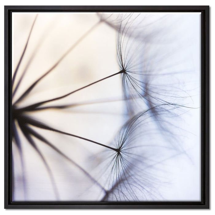 Weiße Pusteblumen auf Leinwandbild Quadratisch gerahmt Größe 60x60