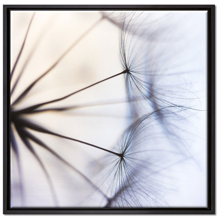 Weiße Pusteblumen auf Leinwandbild Quadratisch gerahmt Größe 70x70