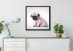 Kleiner Hundewelpe Mops auf Leinwandbild gerahmt Quadratisch verschiedene Größen im Wohnzimmer
