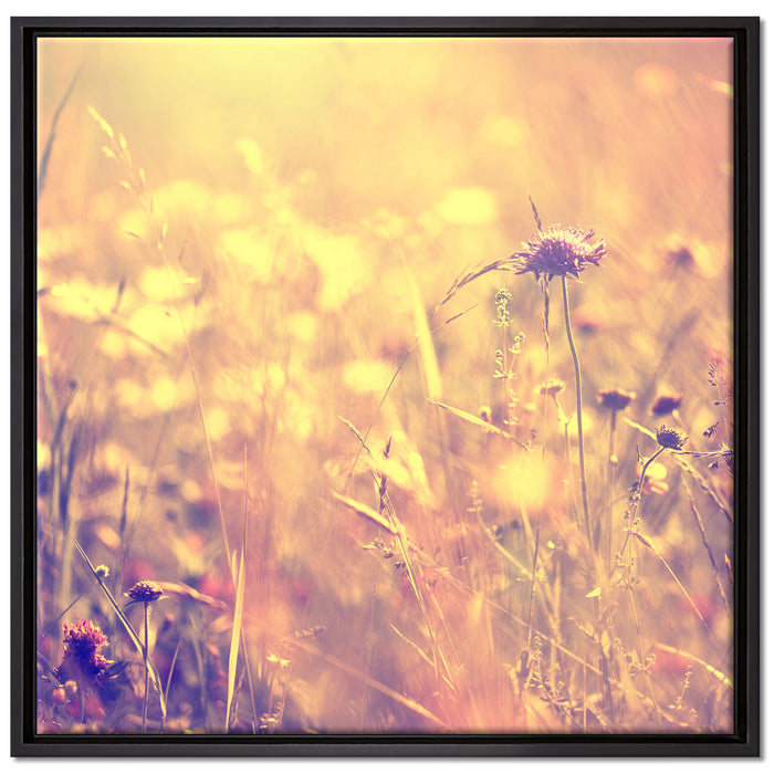 Bunte Gräser Pflanzen Natur auf Leinwandbild Quadratisch gerahmt Größe 70x70