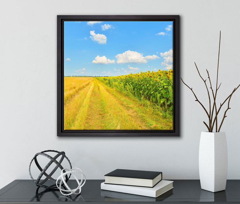 Feldweg am Wald  auf Leinwandbild Quadratisch gerahmt mit Kirschblüten