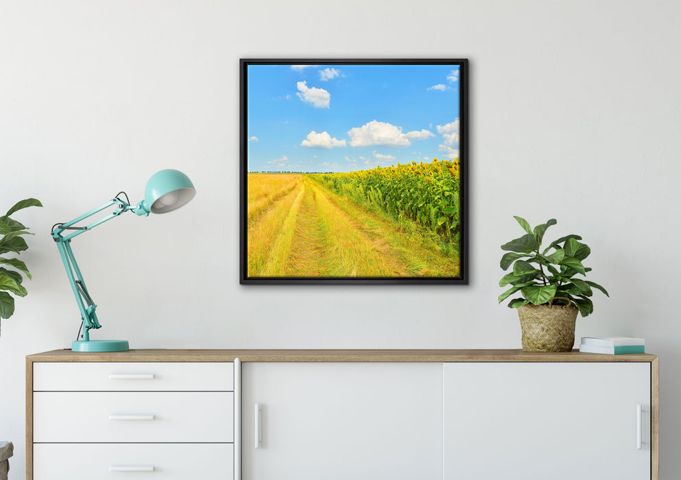 Feldweg am Wald auf Leinwandbild gerahmt Quadratisch verschiedene Größen im Wohnzimmer