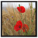 Mohnblumen im Getreidefeld auf Leinwandbild Quadratisch gerahmt Größe 60x60