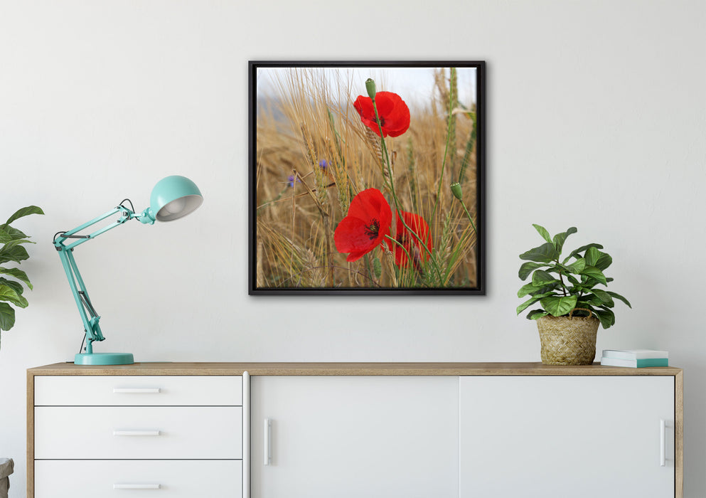 Mohnblumen im Getreidefeld auf Leinwandbild gerahmt Quadratisch verschiedene Größen im Wohnzimmer