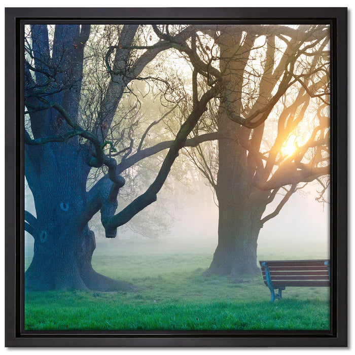 Baum und Bank im Nebel auf Leinwandbild Quadratisch gerahmt Größe 40x40