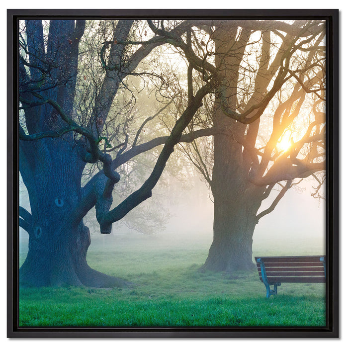 Baum und Bank im Nebel auf Leinwandbild Quadratisch gerahmt Größe 60x60