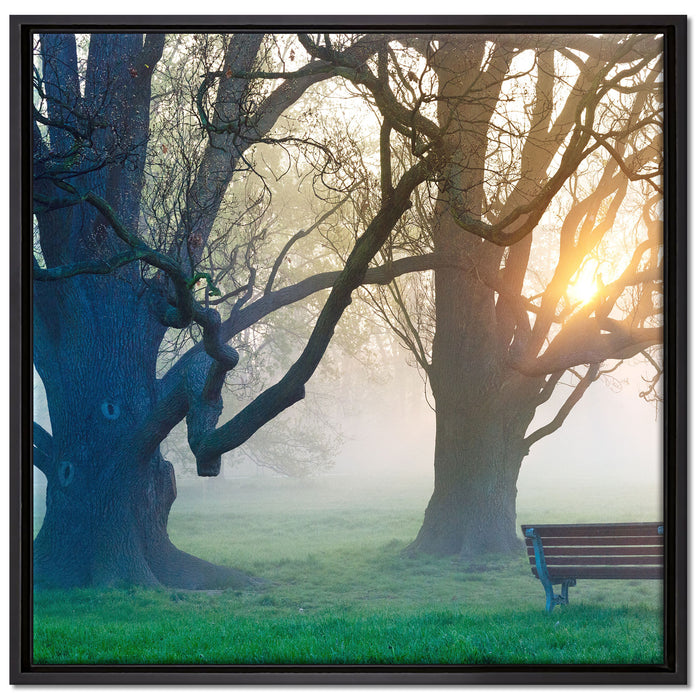 Baum und Bank im Nebel auf Leinwandbild Quadratisch gerahmt Größe 70x70