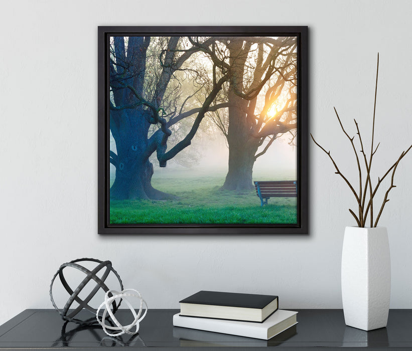 Baum und Bank im Nebel  auf Leinwandbild Quadratisch gerahmt mit Kirschblüten