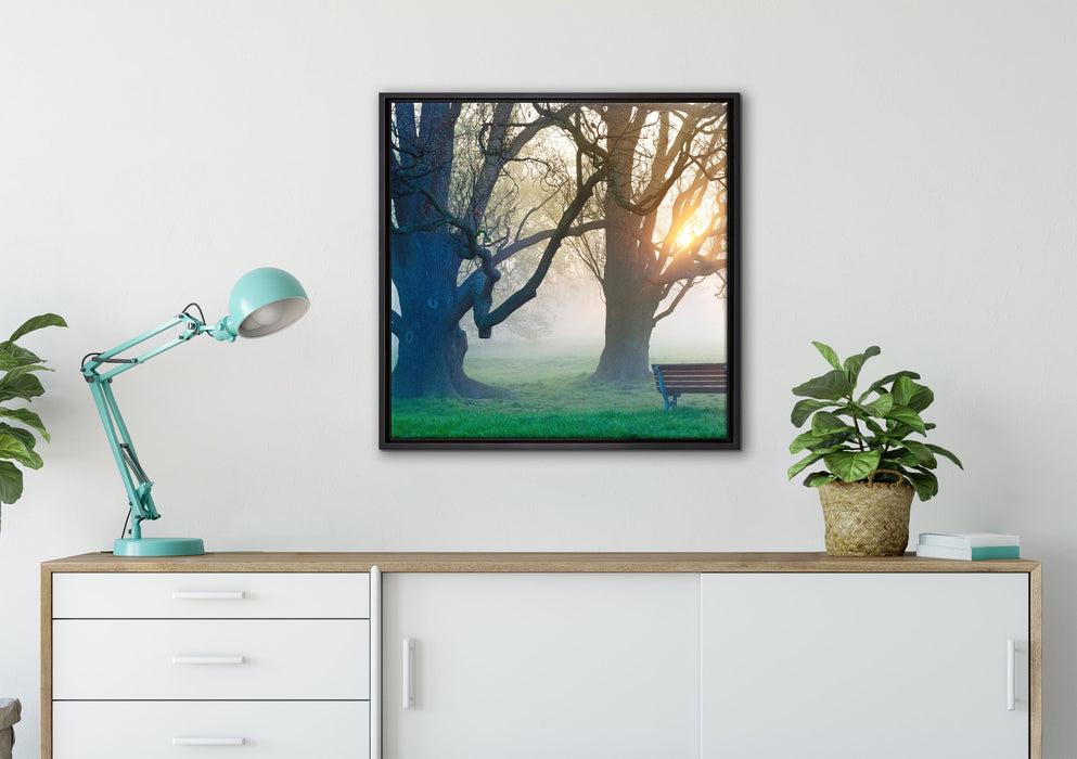 Baum und Bank im Nebel auf Leinwandbild gerahmt Quadratisch verschiedene Größen im Wohnzimmer