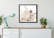 Kleine Katze auf Leinwandbild gerahmt Quadratisch verschiedene Größen im Wohnzimmer