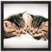 Katzen Herzform auf Leinwandbild Quadratisch gerahmt Größe 40x40