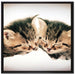 Katzen Herzform auf Leinwandbild Quadratisch gerahmt Größe 70x70