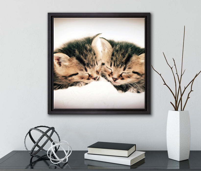 Katzen Herzform  auf Leinwandbild Quadratisch gerahmt mit Kirschblüten