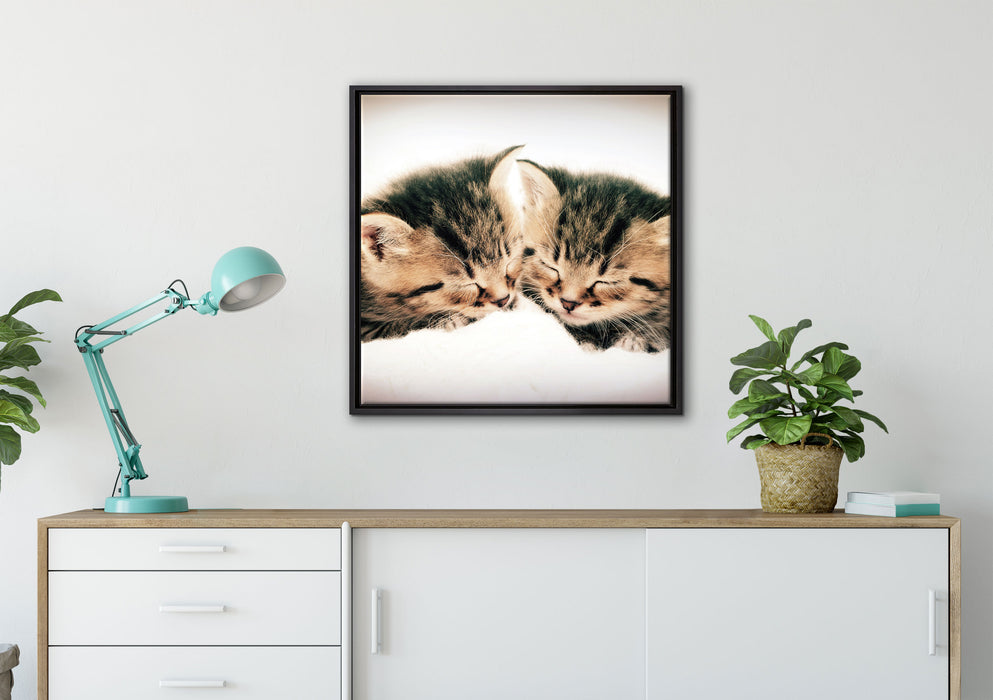 Katzen Herzform auf Leinwandbild gerahmt Quadratisch verschiedene Größen im Wohnzimmer