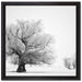 Bäume im Schnee Nebel auf Leinwandbild Quadratisch gerahmt Größe 40x40